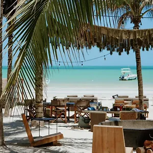 Casa Tortugas Petit & Hotel Isla Holbox