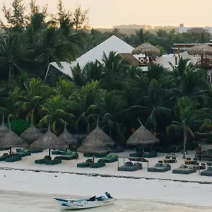 Casa Tortugas Petit & Hotel Isla Holbox